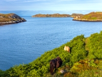 Isle of South Uist